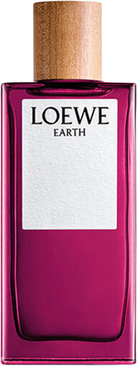 その他 LOEWE EARTH 100ml 楽天市場】香水 メンズ レディース ロエベ アース EDP・SP 100ml