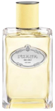Woda perfumowana Prada Infusion de Mimosa, prosta szklana butelka z żółtym płynem i żółtą teksturowaną nakrętką.