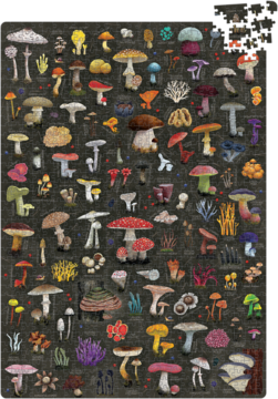 Puzzlove puzzle Grzyby CzuCzu 1000 el. Widok na szczegółową, kolorową ilustrację grzybów na ciemnym tle.