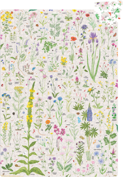 Puzzlove Kwiaty Polne 1000 el. Czu Czu, kolorowa ilustracja dzikich kwiatów, widok z góry.
