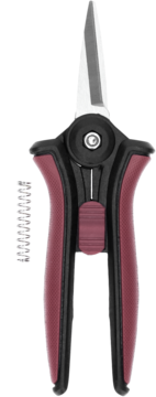 https://pro-fra-s3-productsassets.rossmann.pl/product_6_medium/2097058_360_350_1741097252.webp