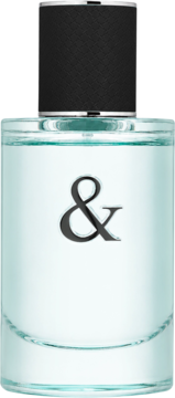 Męska woda toaletowa Tiffany & Co. Love for Him w prostokątnej błękitnej butelce z czarną nakrętką i symbolem '&'. Widok z przodu.