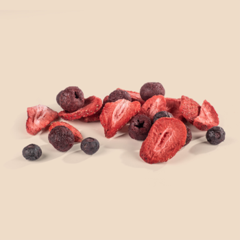 FARMER'S SNACK ,mieszanka owoców liofilizowanych, Wiśnie, Borówki, Truskawki,kompozycja-1