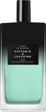 Victorio & Lucchino N Naturaleza Salvaje, męska woda perfumowana w jasnozielonej butelce, widok z przodu.