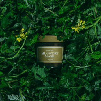 Widok z góry na kojącą maskę I'm From Mugwort w ciemnym słoiku, wśród zielonych roślin bylicy z żółtymi kwiatami.