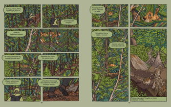 Dwustronicowy komiks dokumentalny "Rysie", leśne sceny z tropicielami i rysiami w gęstym lesie.