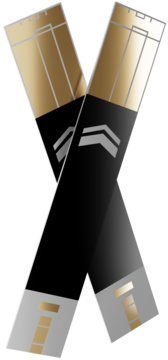 Dwa czarno-złote paski testowe do glukometru Diagnostic Gold, skrzyżowane pod kątem, ze srebrnymi strzałkami.