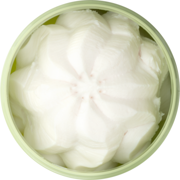 Białe, rzeźbione, kwiatowe mydło w kostce, widok z góry, w jasnym, zielonym, okrągłym pojemniku.