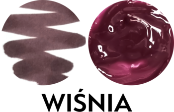 Próbka makijażu: z lewej strony matowy swatch w kolorze ciemnej śliwki, z prawej błyszcząca, kremowa tekstura tego samego odcienia.