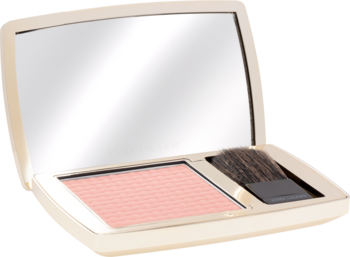 Otwarty beżowy róż w kompakcie z lustrem, jasnoróżowy róż o fakturze kratki i małym pędzelkiem.