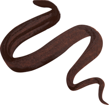 Ciemnobrązowy, matowy pigment Revolution Master Flick Dip Liquid Eyeliner w postaci falistej kreski.