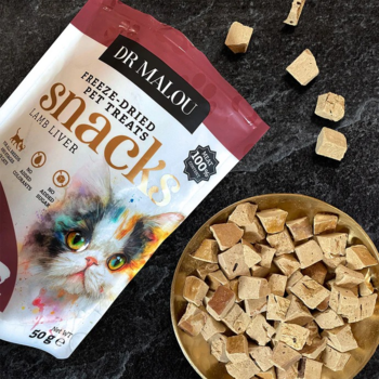 Dr Malou liofilizowana wątroba jagnięca dla kota w torebce obok smaczków na złotej miseczce, z góry.