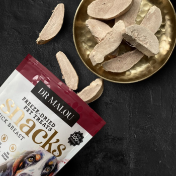 Opakowanie Dr Malou Freeze-Dried Pet Treats CHICK BREAST i kawałki mięsa w złotej misce na czarnym tle.