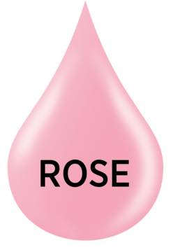 EVELINE COSMETICS Nail Therapy Professional 6w1 Care & Colour,odżywka do paznokci, skoncentrowana, nadająca kolor,  Rose,kompozycja-1