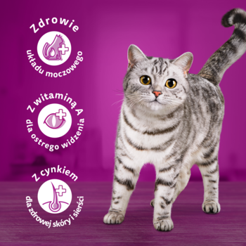 Szary kot Whiskas Sterile na fioletowym tle, z ikonami: zdrowe drogi moczowe, witamina A dla wzroku, cynk dla sierści.
