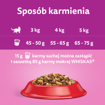 Whiskas karma sucha dla kota: instrukcja karmienia z dawkami dziennymi i zamiennikiem mokrej karmy.