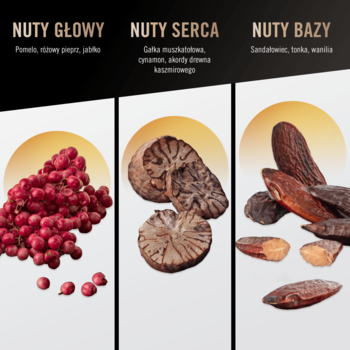 Żel pod prysznic bruno banani Man’s Best: trzy panele z nutami zapachowymi – różowy pieprz, gałka muszkatołowa, fasola tonka.