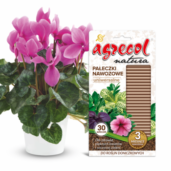 Agrecol Natura pałeczki nawozowe w beżowym opakowaniu z grafiką roślin, obok różowy cyklamen w białej doniczce.