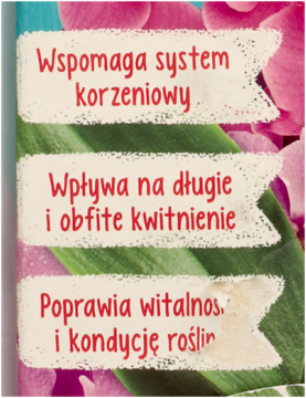 Trzy jasne etykiety z tekstem o korzyściach Florovit Vital Complex dla storczyków: wsparcie korzeni, kwitnienie, witalność.