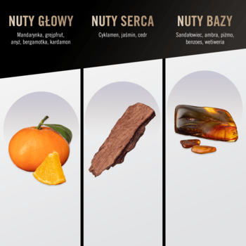 Woda toaletowa Bruno Banani Pure Man: grafika nut zapachowych z mandarynką, cedrem i bursztynem w trzech kolumnach.