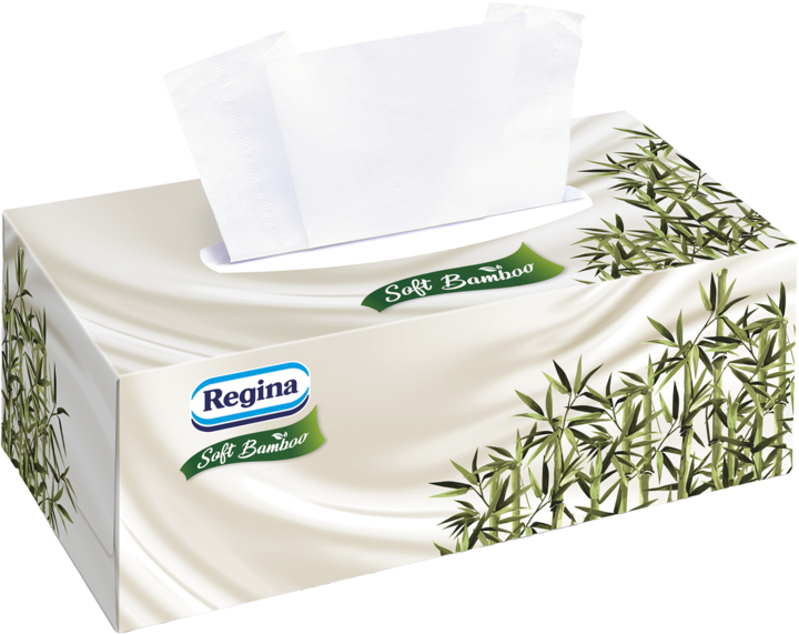 REGINA, Soft Bamboo, chusteczki higieniczne, 4-warstwowe, 96 szt.