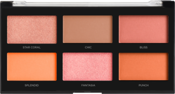 Profusion Blush III: czarna paleta z 6 odcieniami róży i rozświetlaczy (mat i blask), widok z góry.