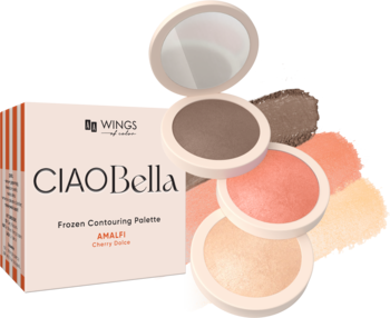 AA WINGS OF COLOR Ciao Bella ,paleta do konturowania, nr 02 Brunette,kompozycja-2