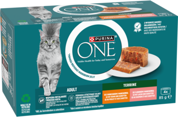 Zielony karton PURINA ONE Adult Terrine, mokra karma dla kotów, widok z przodu, z kotem i pasztetem.