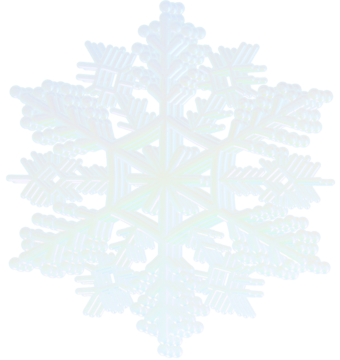 Zbliżenie na kryształowy, sześcioramienny płatek śniegu o białym, eterycznym wykończeniu i detalach geometrycznych.