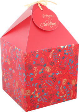 Czerwone pudełko prezentowe ze złotym wzorem świątecznym i etykietą 'Merry Christmas', ujęcie z przodu i z boku.