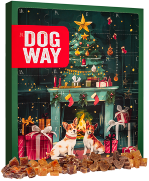 Kalendarz adwentowy DOG WAY dla psa, zielony z choinką, kominkiem i dwoma psami, z dołączonymi smakołykami.