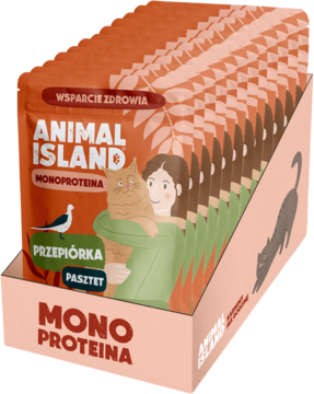 Pomarańczowy stojak ekspozycyjny z mokrą karmą Animal Island Monoproteina Przepiórka w saszetkach, widok pod kątem.