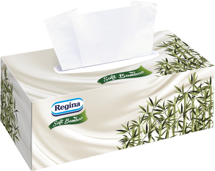 REGINA, Soft Bamboo, chusteczki higieniczne, 4-warstwowe, 96 szt.