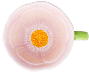 Przekrój różowej rzodkiewki z zielonym ogonkiem, widok z góry, z pomarańczowym, promienistym środkiem.