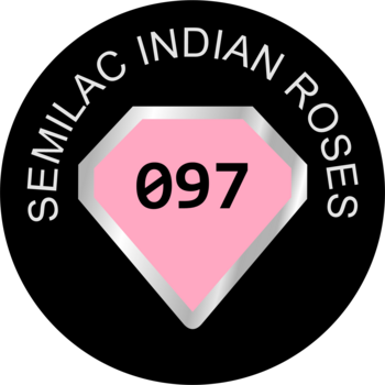 https://pro-fra-s3-productsassets.rossmann.pl/product_9_medium/343851_360_350.png